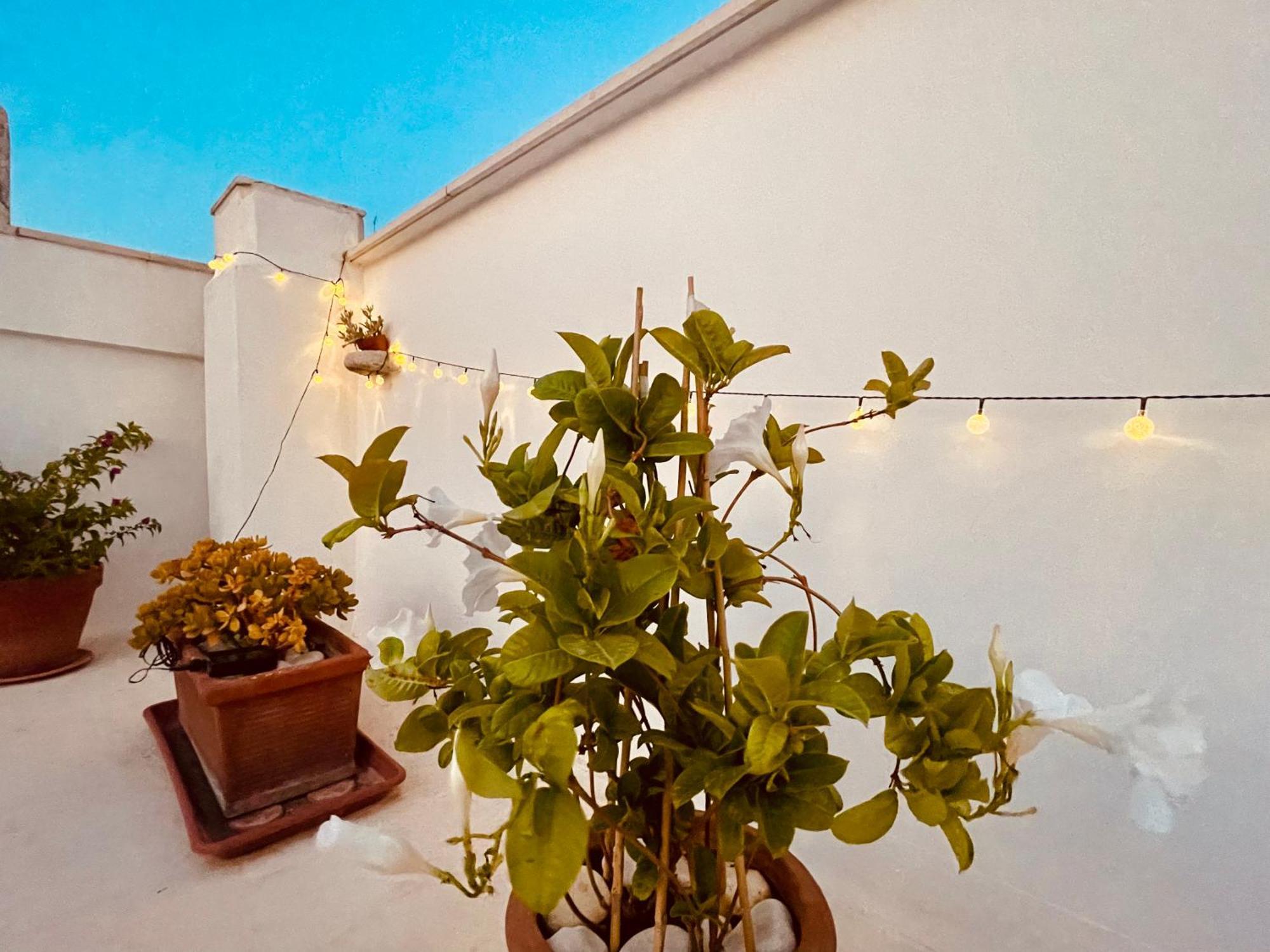 Le Nicchie Villa Bisceglie Luaran gambar